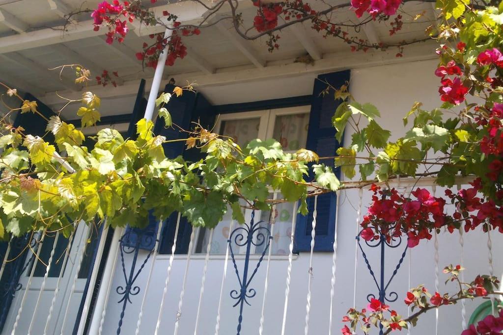 Viewtyhouse Villa Atheato Dış mekan fotoğraf
