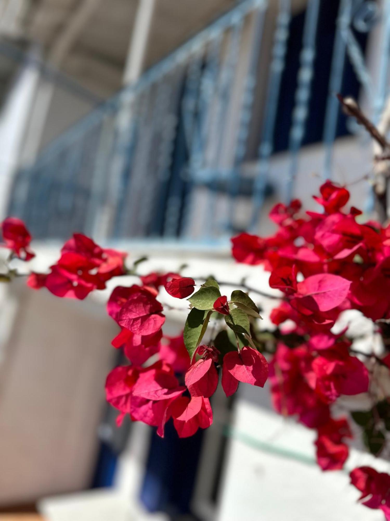 Viewtyhouse Villa Atheato Dış mekan fotoğraf